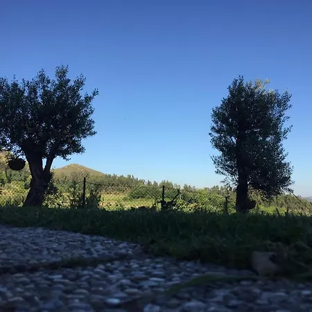 Holiday home Casa Dos Cinco - Geres Terras de Bouro