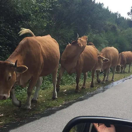 Casa Dos Cinco - Geres * Terras de Bouro