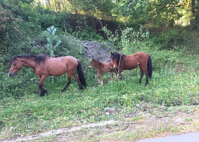 Casa Dos Cinco - Geres
